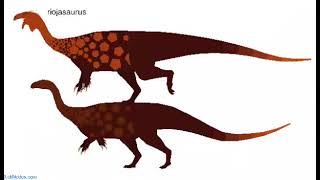 sticknodes the triassic and paleozoic stks of mocieclips