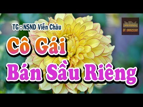 Cô Gái bán Sầu Riêng Karaoke | Tập Hát Vọng Cổ | Beat Vọng Cổ | Dây Đào (Re)