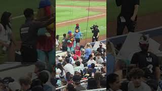 mascotas Marlins