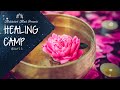 528Hz | Boosts Positivity & Reduces Stress | Tibetan Singing Bowls | Healing Music Camp Day 13