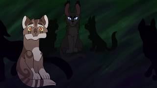 Snap Out Of It ~ Crowfeather and Leafpool ~ MAP Part 19