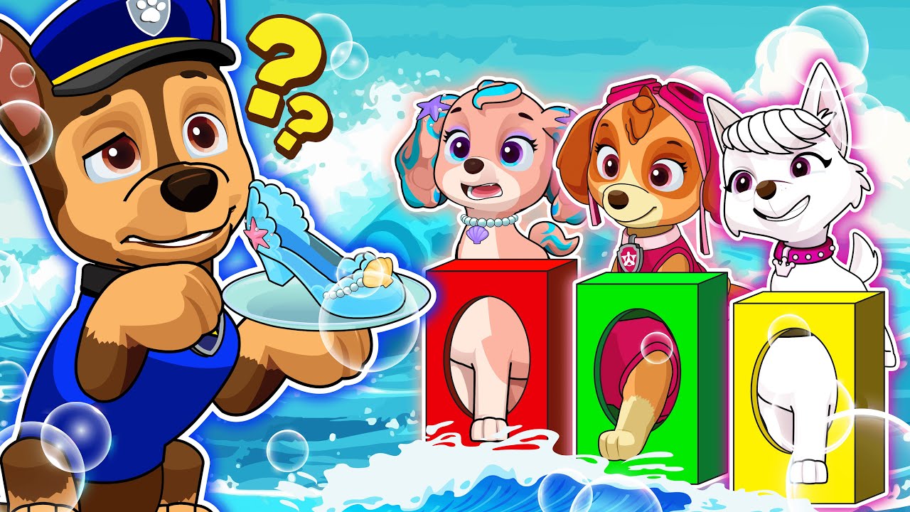 Who Will Be Chase's Choice??? - Very Funny Life Story | Paw Patrol Ultimate Rescue | Rainbow 3