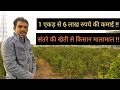 1 एकड़ से 6 लाख की कमाई || संतरे की खेती से किसान मालामाल || Orange Farming || Hello Kisaan