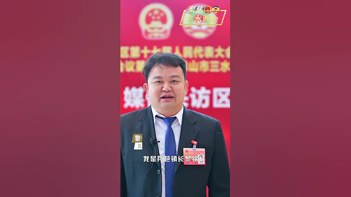 聚焦三水两会︱黎锦标为芦苞打Call：湾区产文旅融合发展名镇与您相约 - 天天要闻