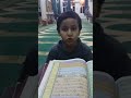 الحافظ الصغير