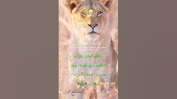 تلاوة خاشعة عطرة مباركة جميلة عذبة للشيخ فارس عباد ماتيسر من سورة الكهف