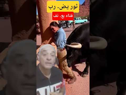 ثور يض رب فتاه بع نف مواقف مضحكة في الحياة  اكسبلور 