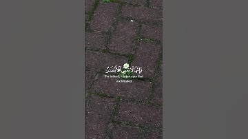 قران الكريم #قرآن #اكسبلور #القارئ #لايك #قرآن_كريم #حالات_واتس #قران_كريم #راحة_نفسية #فولو