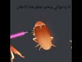 ايام ال5 سنيــــــن