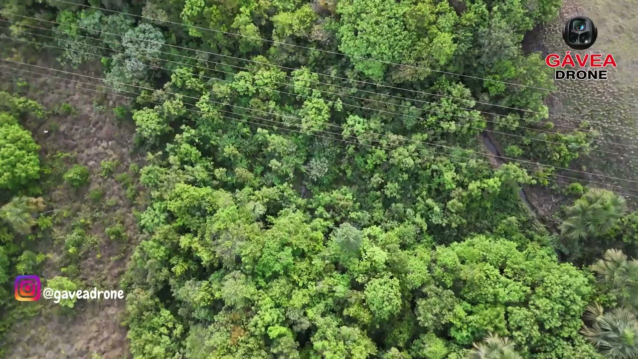 Preserve a Natureza. A Humanidade Agradece!