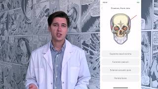 How to learn Anatomy? Easy Anatomy Atlas & Quizzes app screenshot 1