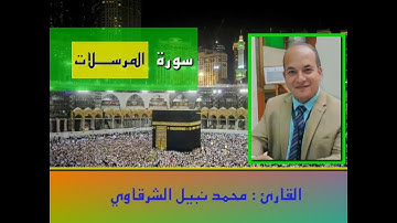 المصحف المرتل | سورة المرسلات بصوت القارئ محمد نبيل الشرقاوي