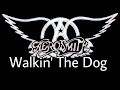 AEROSMITH Walkin The Dog Lyric Video mp3