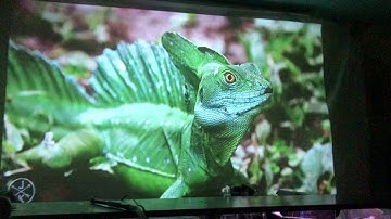 ✅ Video Test Everycom X9 LED Projector Unboxing from AliExpress euro app 🔝 Haul Unbox Therapy