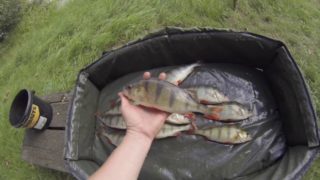 Na Labi s Vláčákem srpen 2017