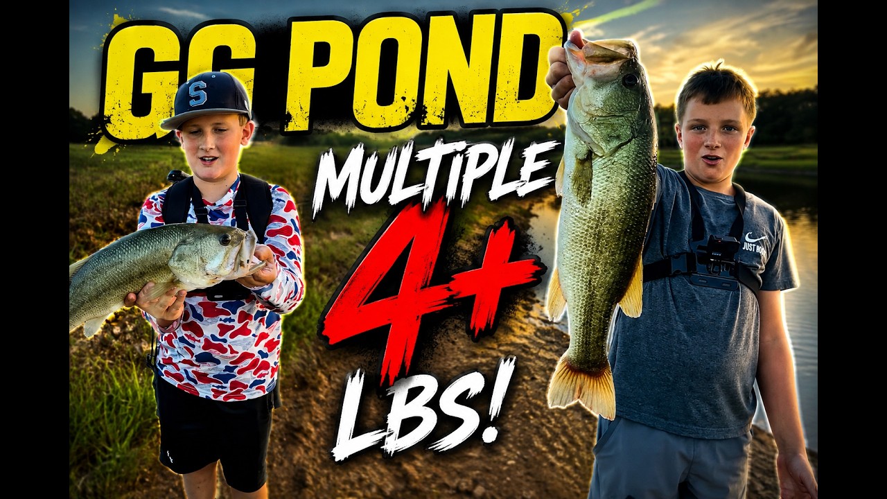 THIS POND IS LOADED WITH 4+ LB BASS! #BassFishing #Fishing #LargemouthBass #BassFishingLife #BigBass