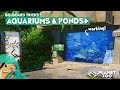 Working Aquariums, Ponds & more! Billboard Tipps & Tricks Planet Zoo