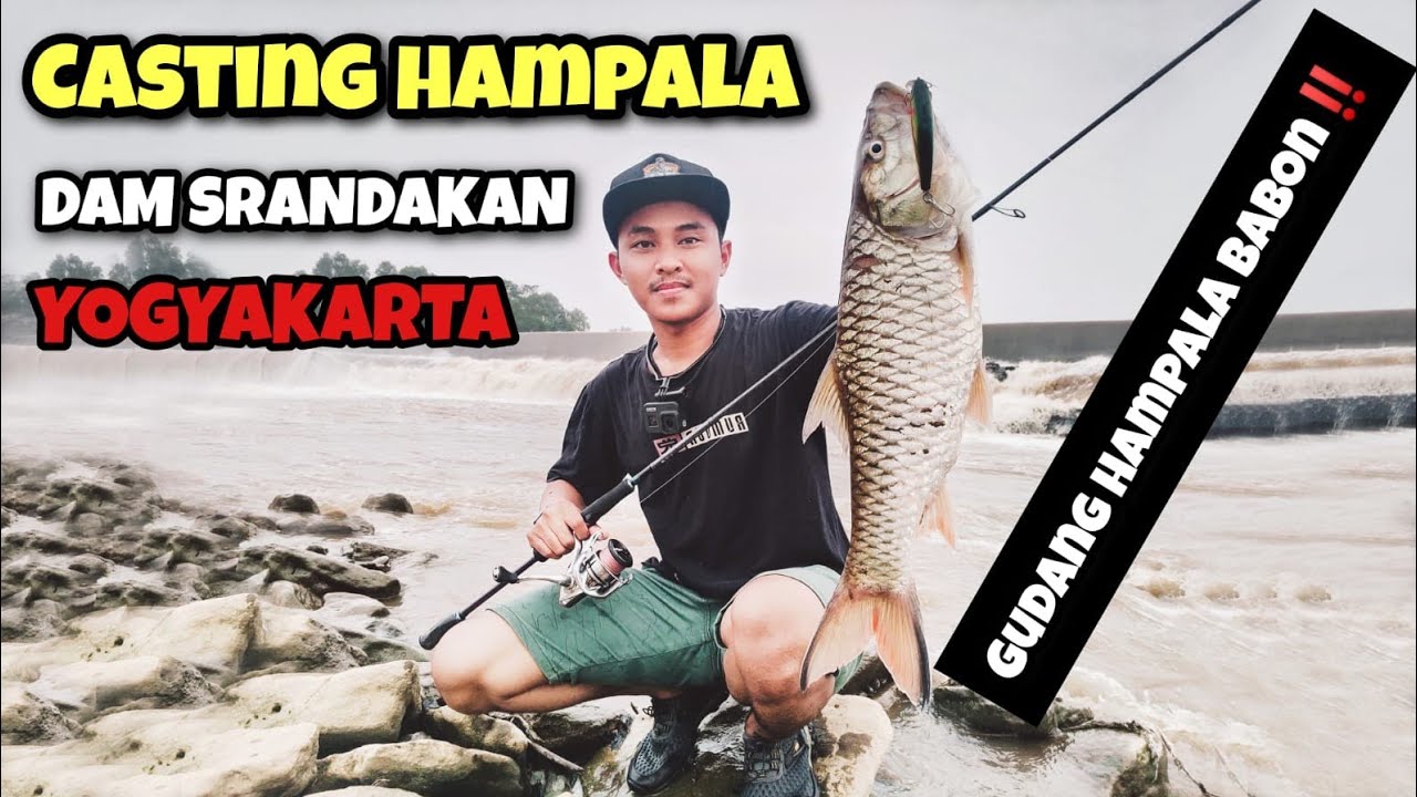 CASTING HAMPALA SPOT VIRAL BABON‼️DAM SRANDAKAN YOGYAKARTA