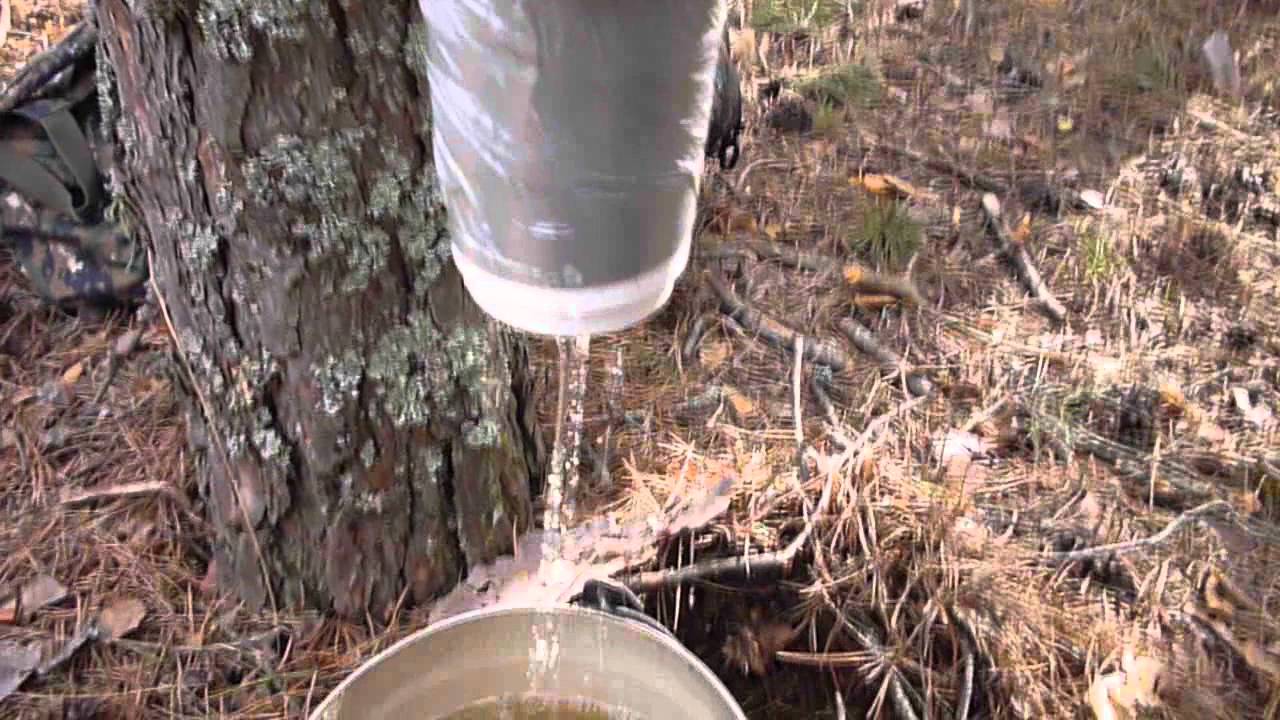 Очистка воды в полевых условиях. Фильтр для воды в лесу. Фильтрование воды в полевых условиях. Фильтрация воды в лесу. Фильтрование воды в походе.