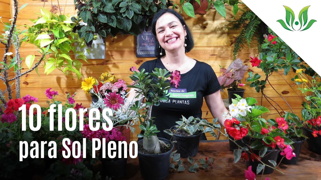 10 Flores para Sol Pleno! - thptnganamst.edu.vn