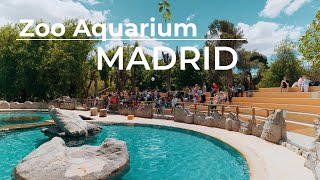 ZOO AQUARIUM MADRID - (4K HDR) pandas, koalas, dolphins...ESPANA