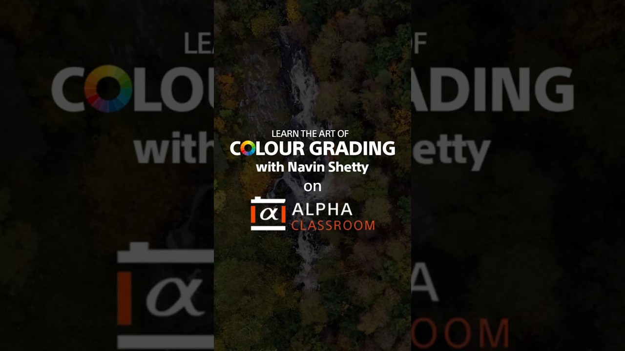 Learn Colour Grading With New Alpha Classroom Course