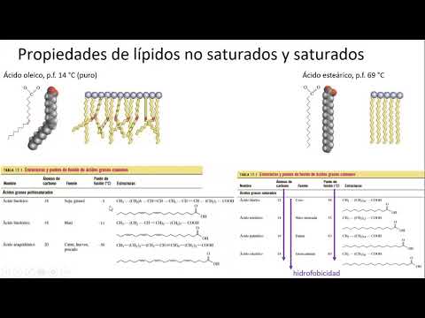 5 Extracción y cuantificación de lípidos insaturados