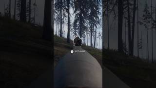 Weakest Bison Dies To 12 Gage Birdshot