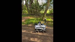 ForestYear3D: A Year-Long Dual-LiDAR Point Cloud Dataset for Long-Term Forest Robotics
