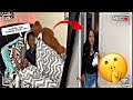 SNEAKING BACK INTO THE HOUSE AFTER CHEATING PRANK ON BOYFRIEND!!! 💔