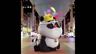 Panda 🐼 Short Cartoon Video