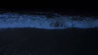 Nocturnal Sea Breeze| Soothing Waves To Aid Relaxation And Alleviate Fatigue| Ocean Waves At Night by Ocean Sounds 514 views 3 weeks ago 11 hours, 58 minutes