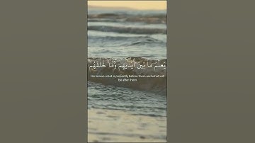 أية الكرسي بصوت القارئ الشيخ ماهر المعيقلي #الشيخ #المعيقلي #القارئ #ماهر_المعيقلي #قرآن#coran#koran