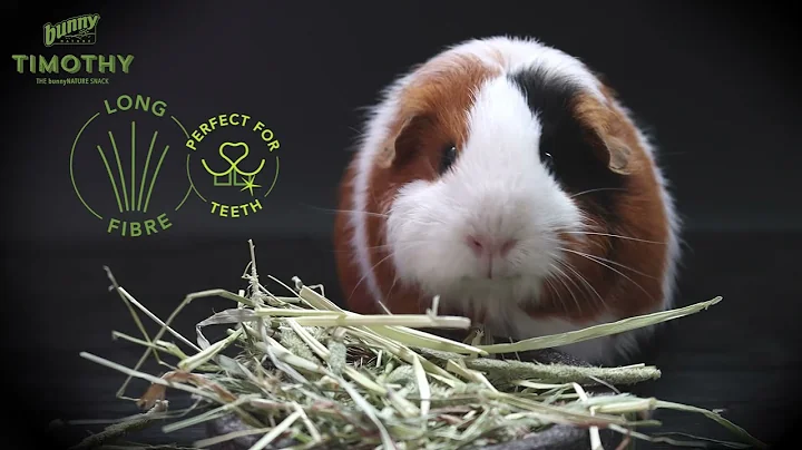 Timothy - THE bunnyNature Snack