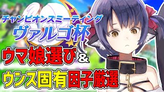 【ウマ娘】ヴァルゴ杯どうする～？情報持ち寄って作戦会議！【プリティーダービー】【Vtuber 】