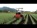 【キュウホー　 Q-HOE】ねぎ除草　３輪形乗用管理機　Green onion