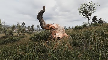 【 STALKER Anomaly】Interactive Grass - Pseudogiants