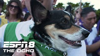 Milo Benz FETCHES the win in the 2023 Corgi Races at Emerald Downs  | ESPN8: The Ocho