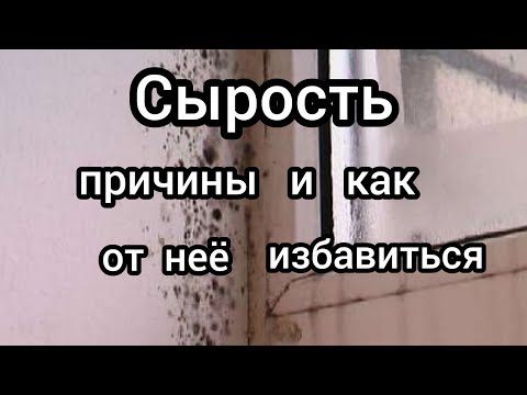 Бейне: Сироста әуежай бар ма?