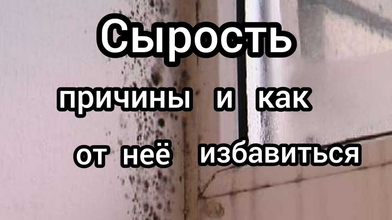 Как убрать влажность в квартире и поддерживать ее нормальный уровень