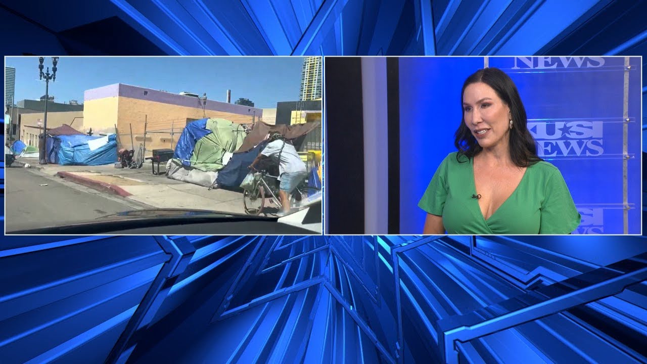 Downtown San Diego business owners fed up with homeless destroying the community