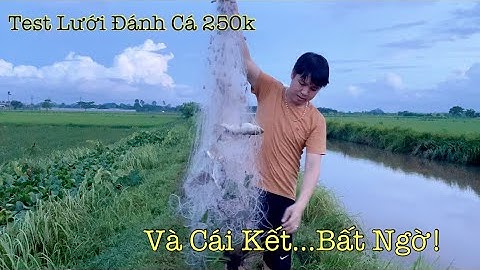 Lưới Bén Cá 6Phân Cao 1m Giá Chỉ Từ 250k (Zalo 0989461892)