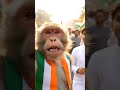 happy independence day 2025