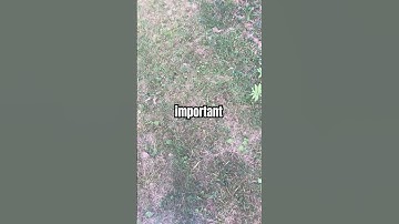 This is VERY IMPORTANT, please listen #fyp #IMPORTANT #ytshorts #therian #alterhuman #safety