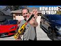CVLIFE Laser Bore Sight Review: Get Zeroed in Minutes (0.17 to 12GA)