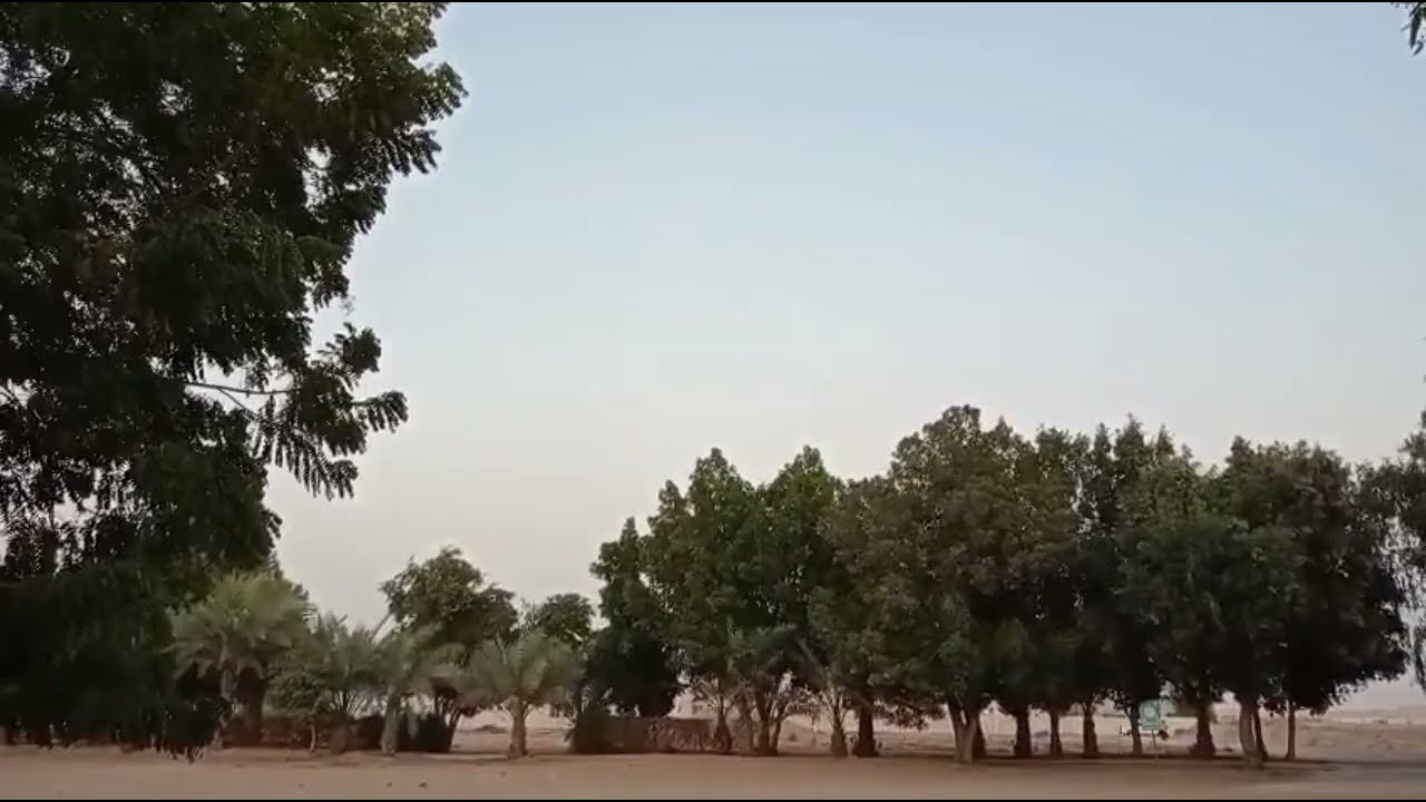 നന്ദിനി സൂര്യയോട്I❤️Y എന്ന് പറയുന്ന നിമിഷം എത്തുമ്പോൾ സൂര്യൻ നന്ദിനിയെ അത് ചെയ്യുന്നു 