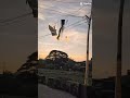 #montagevideo #montageview #montageedit #montages #montagevideoediting #montageediting #fypシ゚viral