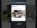 もうすぐ人が家に来るってのに今これ#Vtuber #Twitter#shorts