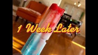 SpongeBob Time Cards (1999-2023) 2050 Edition (Updated)