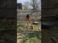 How many layers of wood can I break through?? #viral #fitness #shorts #challenge